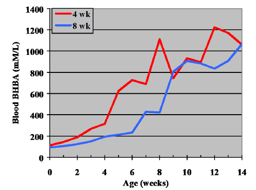 Calf Note #55 – Blood BHBA in calves – Calf Notes.com